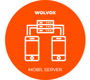 AKINSOFT Wolvox Mobil Server